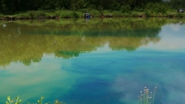 Mėlyni dekoratyviniai tvenkinio dažai Dyofix Pond Blue prieš dumblius ir vandens piktžoles, 5kg