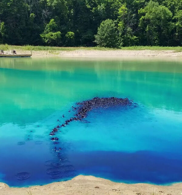 Dyofix Pond Blue mėlyni tvenkinio dažai 100g