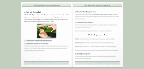 Chlorelos auginimo vadovas pradedantiesiems, PDF - Image 2